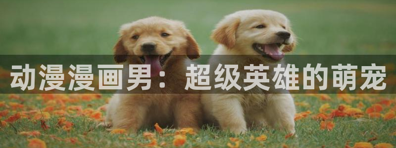 里番动漫小说
