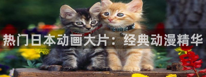 本子漫画里番库：热门日本动画大片：经典动漫精华