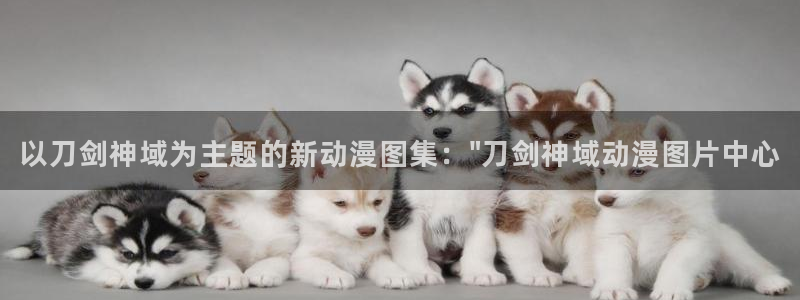 里番动漫在线视频：以刀剑神域为主题的新动漫图集：\