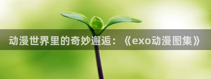 热播里番动漫：动漫世界里的奇妙邂逅：《exo动漫图集》