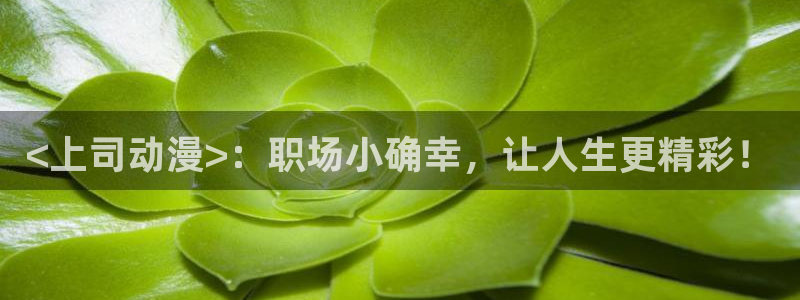 娜美里番漫画：<上司动漫>：职场小确幸，让人生更精彩！