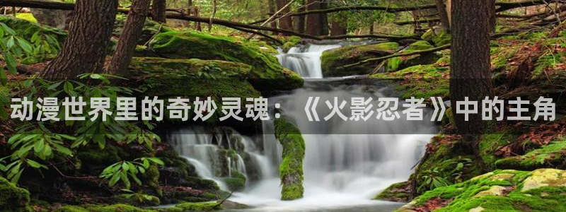 里番动漫风车动漫：动漫世界里的奇妙灵魂：《火影忍者》中的主角
