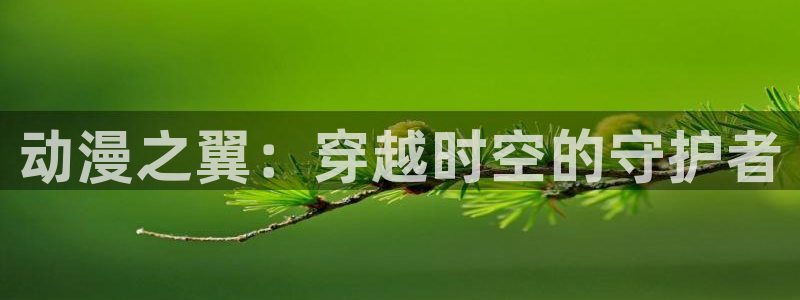 动漫gif里番图片：动漫之翼：穿越时空的守护者