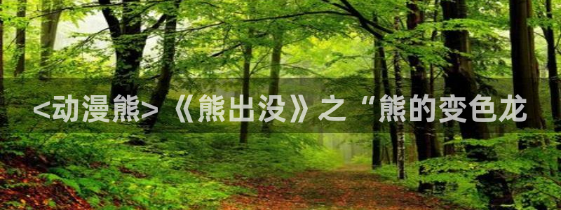 里番彩色动漫：<动漫熊> 《熊出没》之“熊的变色龙