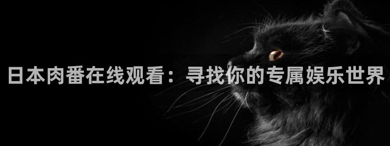 里番动漫在哪看：日本肉番在线观看：寻找你的专属娱乐世界