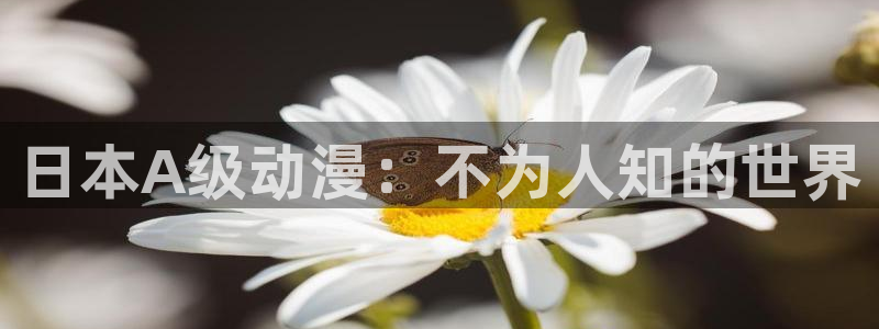 里番动漫：日本A级动漫：不为人知的世界