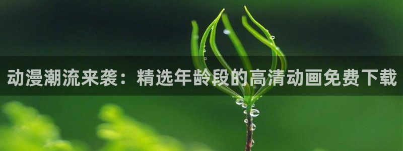 最新里番：动漫潮流来袭：精选年龄段的高清动画免费下载