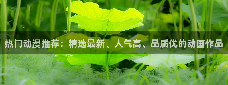 新里番动漫：热门动漫推荐：精选最新、人气高、品质优的动画作品