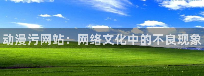 禁漫里番：动漫污网站：网络文化中的不良现象