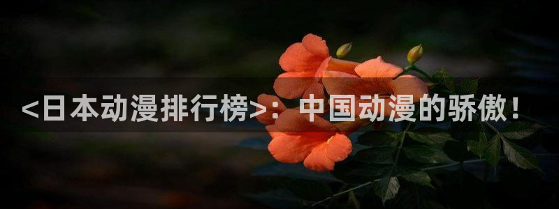 动漫里番小说：<日本动漫排行榜>：中国动漫的骄傲！