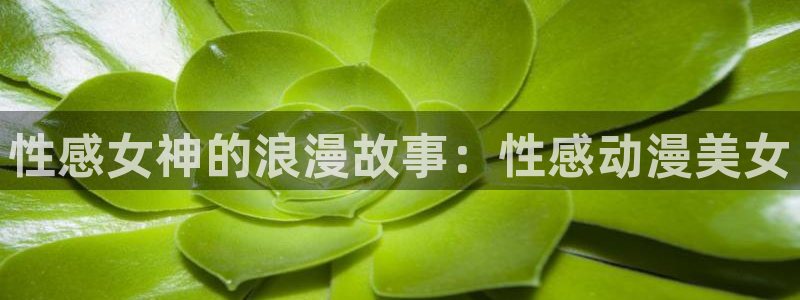 里番免费动漫