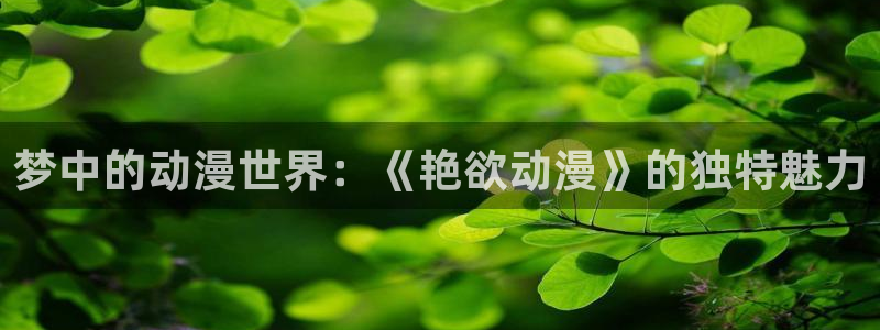 里番大全动漫