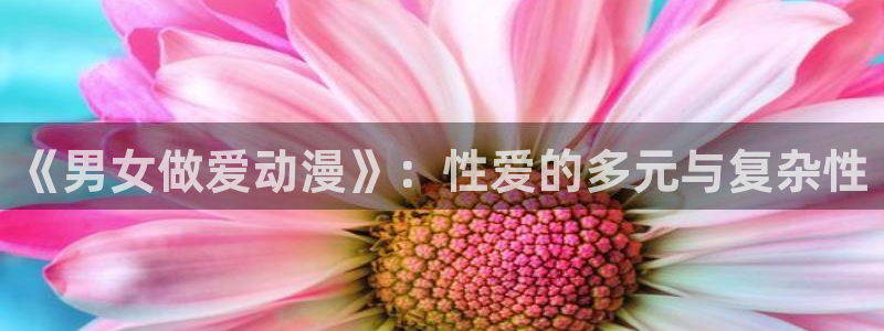 里番动漫排名