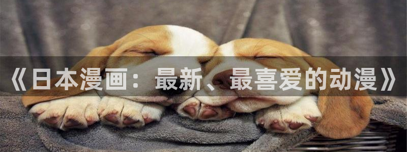 里番h动漫在线