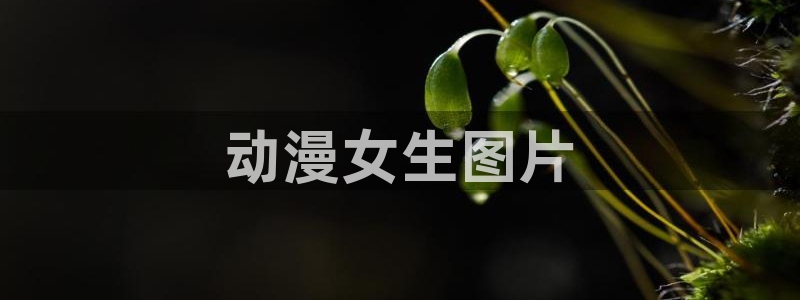 免费里番