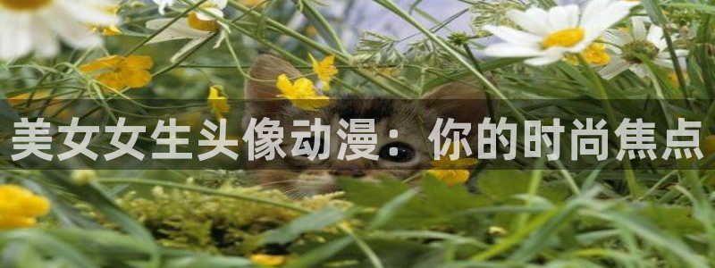 里番动漫盘点