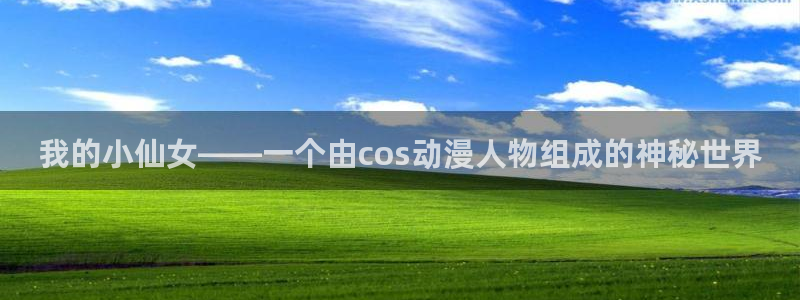 看里番的动漫网站